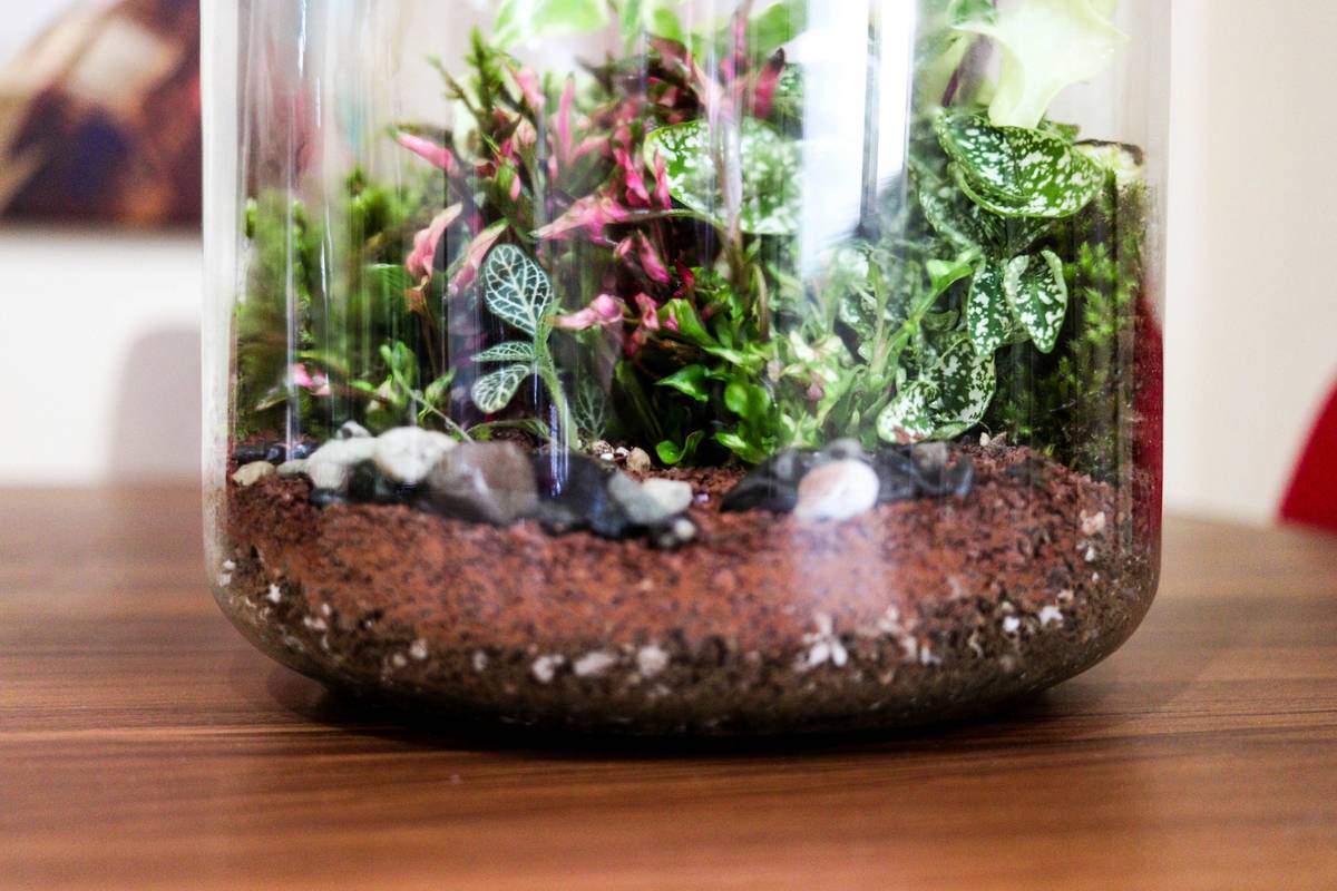 step-by-step indoor garden jewelry boxe how to assembly with labeled zones