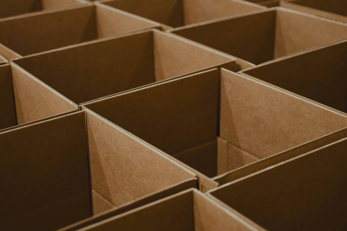 Plant Display Jewelry Boxe Gift Box: The Unexpected Home Decor Hybrid That Actually Works