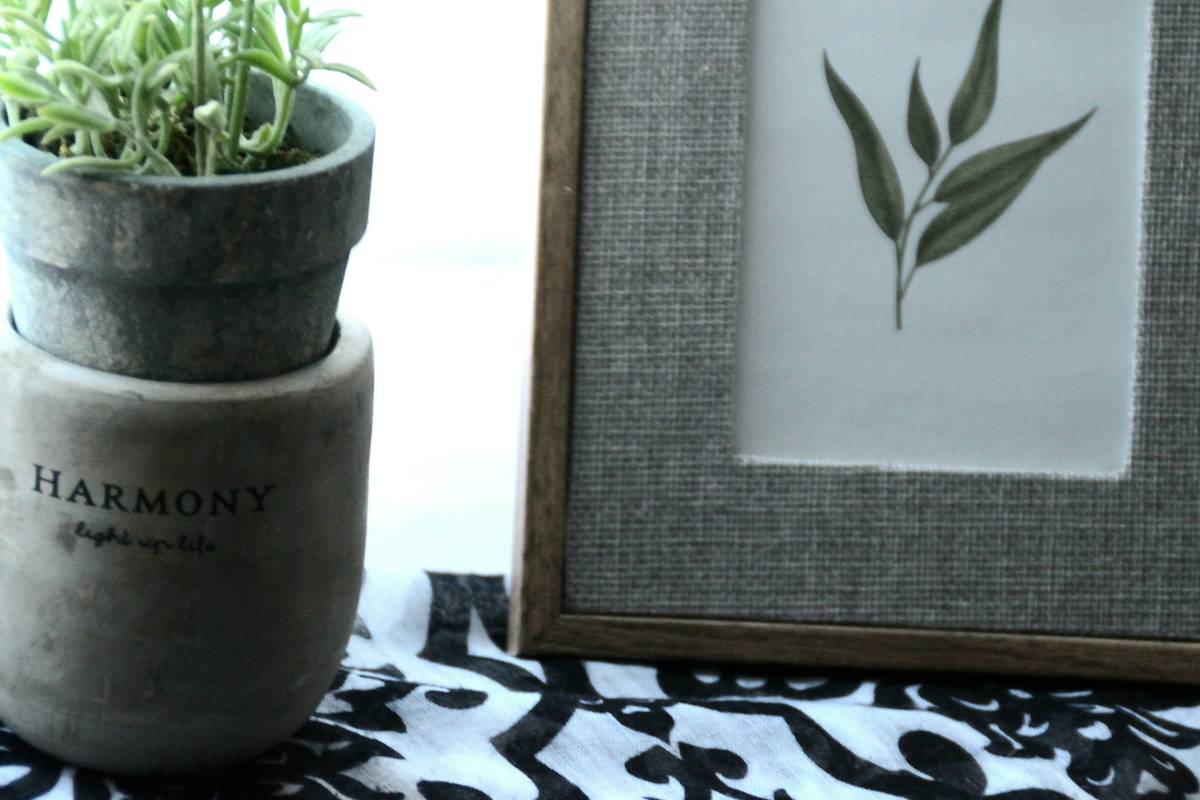 Plant Display Jewelry Boxe What Are – And Why They’re Secretly Revolutionizing Home Decor