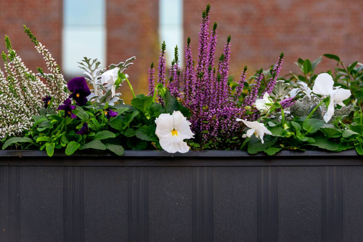 jewelry box planter with succulents arranged neatly inside a vintage wooden box